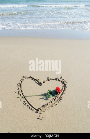 Rose legte auf Herz in Sand gezeichnet Stockfoto