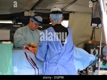 Eine vollständige Mobile tented Krankenhaus, die OP-Säle, Röntgen, MRT, Bildverstärker alle bereit für sofortige Aktion hat bei Bedarf. Diese Armee Veranstaltung in Upavon, Wiltshire zeigte der Spezialist, Kampf und Durchsetzungsfähigkeit der "Force Truppe Befehle" und seine Fähigkeit, Kapazität, Kontingenz und Widerstandsfähigkeit der Armee in der Zukunft. Es werden einige der neuesten Ausrüstung zur Verfügung. Die FTC hat etwa 36.000 Regular und Reserve-Soldaten unter seinem Befehl. 26. März 2014 Bild von Geoff Moore/Dorset-Medienservice Stockfoto