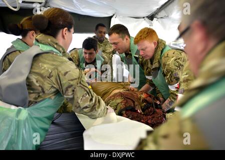 Eine vollständige Mobile tented Krankenhaus, die OP-Säle, Röntgen, MRT, Bildverstärker alle bereit für sofortige Aktion hat bei Bedarf. Diese Armee Veranstaltung in Upavon, Wiltshire zeigte der Spezialist, Kampf und Durchsetzungsfähigkeit der "Force Truppe Befehle" und seine Fähigkeit, Kapazität, Kontingenz und Widerstandsfähigkeit der Armee in der Zukunft. Es werden einige der neuesten Ausrüstung zur Verfügung. Die FTC hat etwa 36.000 Regular und Reserve-Soldaten unter seinem Befehl. 26. März 2014 Bild von Geoff Moore/Dorset-Medienservice Stockfoto