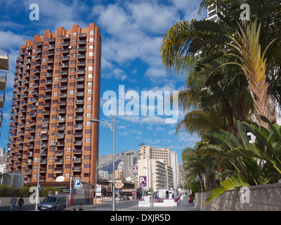 Hotels und Palmen in Benidorm, Spanien. Stockfoto