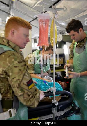Eine vollständige Mobile tented Krankenhaus, die OP-Säle, Röntgen, MRT, Bildverstärker alle bereit für sofortige Aktion hat bei Bedarf. Diese Armee Veranstaltung in Upavon, Wiltshire zeigte der Spezialist, Kampf und Durchsetzungsfähigkeit der "Force Truppe Befehle" und seine Fähigkeit, Kapazität, Kontingenz und Widerstandsfähigkeit der Armee in der Zukunft. Es werden einige der neuesten Ausrüstung zur Verfügung. Die FTC hat etwa 36.000 Regular und Reserve-Soldaten unter seinem Befehl. 26. März 2014 Bild von Geoff Moore/Dorset-Medienservice Stockfoto