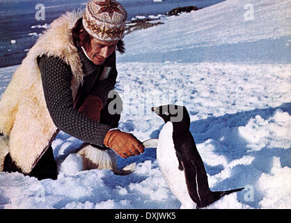 HERR FORBUSH UND DIE PINGUINE Stockfoto