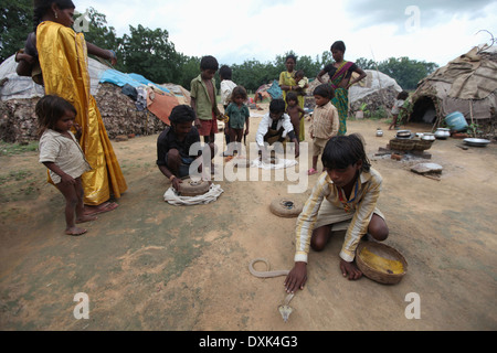 Tribal Mann und Kinder Umgang mit Schlangen. Musahar oder Bhuija Stamm. Keredari Dorf, Bezirk Hazaribaug, Jharkhand, Indien Stockfoto