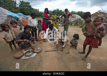 Tribal Mann und Kinder Umgang mit Schlangen. Musahar oder Bhuija Stamm. Keredari Dorf, Bezirk Hazaribaug, Jharkhand, Indien Stockfoto