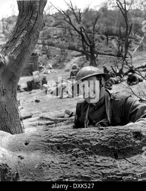 SERGEANT YORK Stockfoto