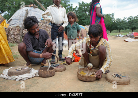 Tribal Mann und Kinder Umgang mit Schlangen. Musahar oder Bhuija Stamm. Keredari Dorf, Bezirk Hazaribaug, Jharkhand, Indien Stockfoto