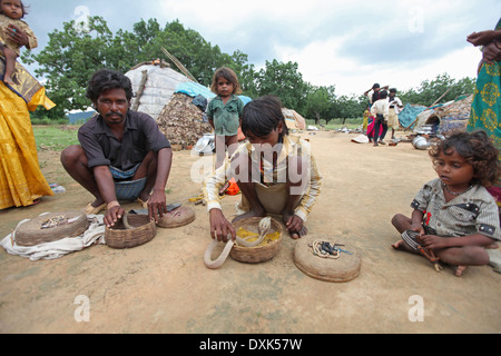 Tribal Mann und Kinder Umgang mit Schlangen. Musahar oder Bhuija Stamm. Keredari Dorf, Bezirk Hazaribaug, Jharkhand, Indien Stockfoto