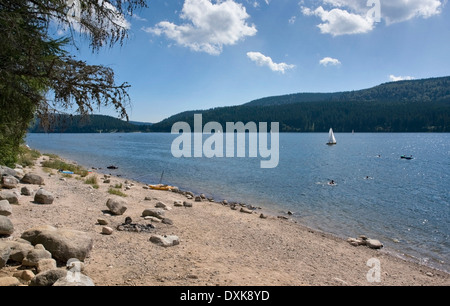 sonnigen beleuchtet Landschaft rund um den Schluchsee, einem See im Schwarzwald (Süddeutschland) im Sommer Stockfoto