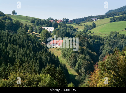 idyllische Landschaft im Schwarzwald im Sommer Stockfoto