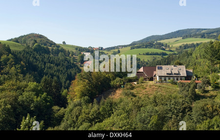 idyllische Landschaft im Schwarzwald im sonnigen Ambiente Stockfoto