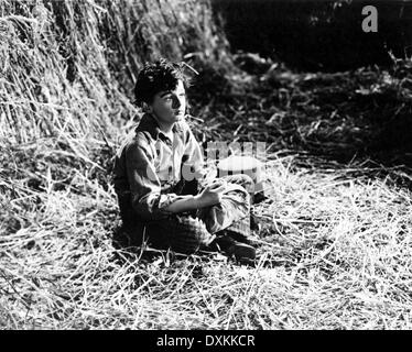 DAVID COPPERFIELD Stockfoto