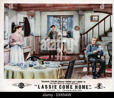 LASSIE COME HOME Stockfoto