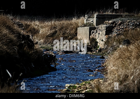 Ruinen der Brücke an der Unterseite des trockenen dam Šance Stockfoto