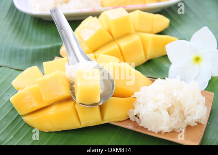 Reife Mango und Klebreis in Löffel auf Banane Blätter, lokale thailändischen Speisen. Stockfoto