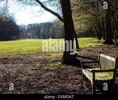 Leere Bank in einem Park, an einem sonnigen Frühlingsmorgen. Stockfoto