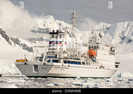 Die Akademik Sergey Vavilov, verstärkt ein Eis Schiff bei einer Expedition in die Antarktis Stockfoto