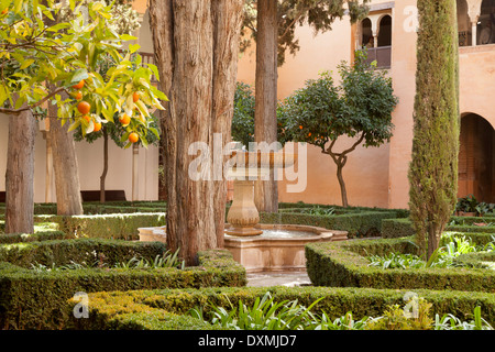 Garten im Innenhof des Lindaraja, Nasridenpaläste, Alhambra Palast Granada-Andalusien-Spanien-Europa Stockfoto