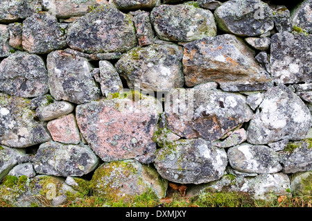 Detail der alten Moos und Flechten bedeckt Trockenmauer auf dem Rothiemurchus Estate, in der Nähe von Aviemore, schottischen Highlands, UK Stockfoto