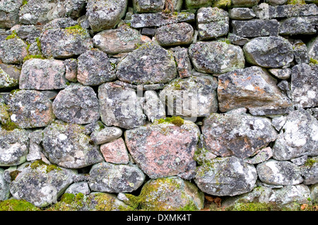 Detail der alten Moos und Flechten bedeckt Trockenmauer auf dem Rothiemurchus Estate, in der Nähe von Aviemore, schottischen Highlands, UK Stockfoto