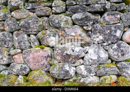 Detail der alten Moos und Flechten bedeckt Trockenmauer auf dem Rothiemurchus Estate, in der Nähe von Aviemore, schottischen Highlands, UK Stockfoto