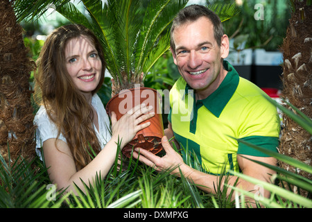 Gärtner und Kunden präsentieren Topfpflanzen Palme im Kinderzimmer oder Garten-center Stockfoto