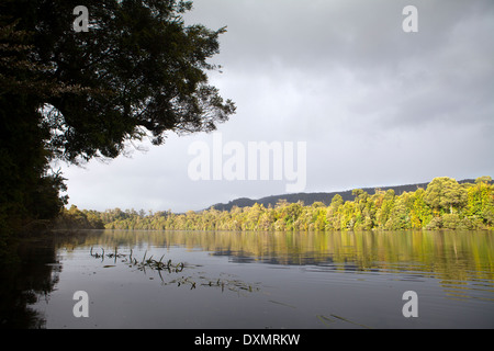 Morgendämmerung am Pieman River durch den Regenwald Tarkine Stockfoto