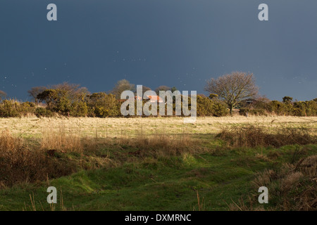 März das Wetter. Gewitter-Himmel; schwere Dusche unmittelbar bevor. Ingham. Norfolk. East Anglia. VEREINIGTES KÖNIGREICH. Stockfoto