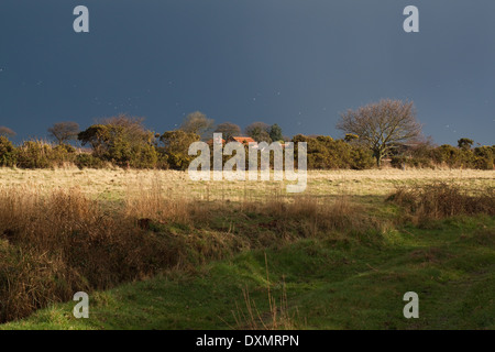 März das Wetter. Gewitter-Himmel; schwere Dusche unmittelbar bevor. Ingham. Norfolk. East Anglia. VEREINIGTES KÖNIGREICH. Stockfoto