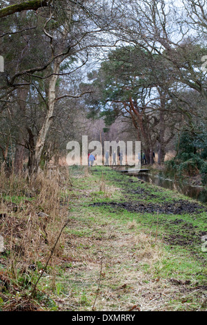 Dykeside zu Fuß. Freizeit Wanderer. März; Broadland. Hickling. Norfolk. East Anglia. Stockfoto