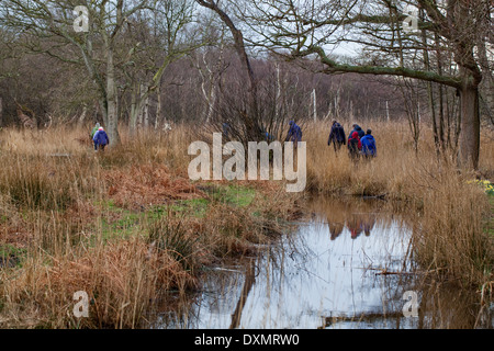 Dykeside zu Fuß. Freizeit Wanderer. März. Frühling. Broadland. Hickling. Norfolk. East Anglia. England. VEREINIGTES KÖNIGREICH. Stockfoto