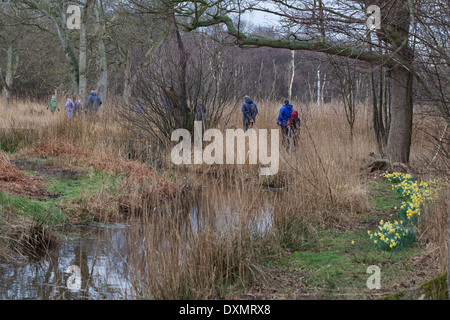 Dykeside zu Fuß. Freizeit Wanderer. März. Frühling. Broadland. Hickling. Norfolk. East Anglia. England. VEREINIGTES KÖNIGREICH. Stockfoto