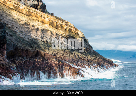 Wellen an der Küste von Punta Vicente Roca, Isabela Island, Galapagos, Ecuador Stockfoto