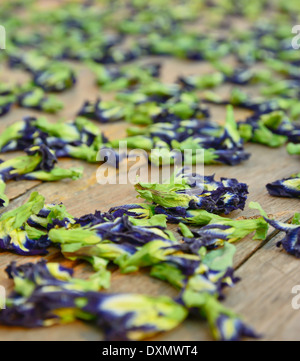 Getrocknete Erbsen Schmetterling Blumen auf dem Tisch Stockfoto