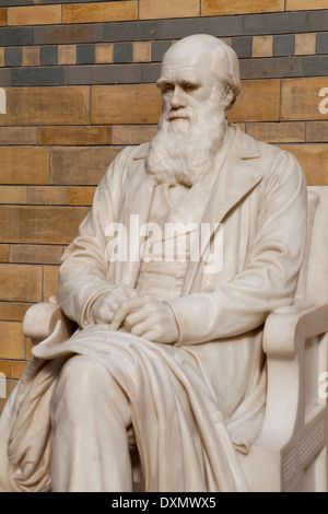 Statue von Charles Darwin im Museum of Natural History, London, Vereinigtes Königreich Stockfoto