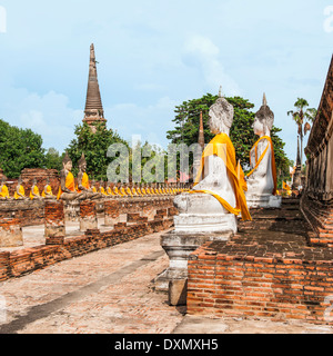 Buddha-Statuen rund um zentrale Stupa, Wat Yai Chai Mongkons, Ayutthaya, Thailand Stockfoto