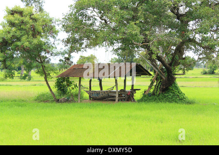 eine Hütte in einer Farm ist ein Rastplatz für Landwirt Stockfoto