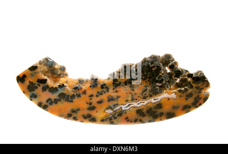 Leoparden Achat Geode Platte Stockfoto