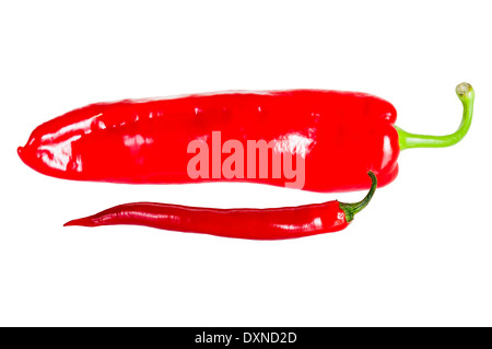 Red hot chili Peppers isoliert auf weißem Hintergrund Stockfoto