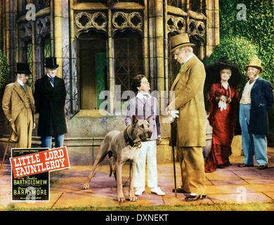 LITTLE LORD FAUNTLEROY Stockfoto