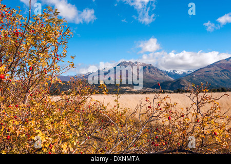 Herbst Farben in El-typisches, Bariloche, Patagonien, Argentinien Stockfoto