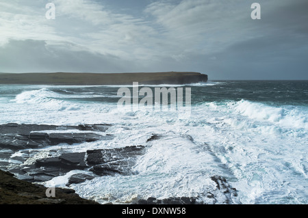 dh Skaill Bay SANDWICK ORKNEY große weiße Meereswellen stürmisch Stürzende Küste schlechtes Wetter Schottland Küste Sturm brechen wild rau ozean großbritannien Stockfoto