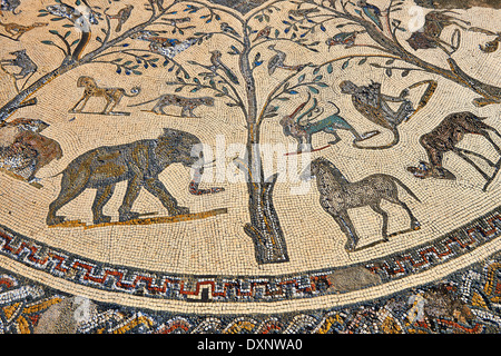 Römisches Mosaik aus The House of Orpheus zeigt afrikanische Tiere Ausgrabungsstätte Volubilis, Marokko Stockfoto