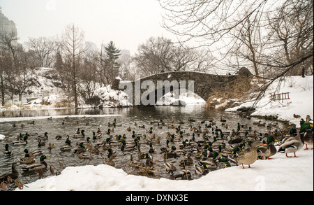 Central Park in New York City an der Gapstow-Brücke im winter Stockfoto