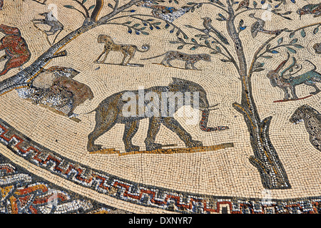 Römisches Mosaik aus The House of Orpheus zeigt afrikanische Tiere Ausgrabungsstätte Volubilis, Marokko Stockfoto