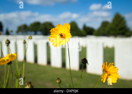 Souchez, Frankreich, britischer Soldatenfriedhof Cabaret Rouge Stockfoto