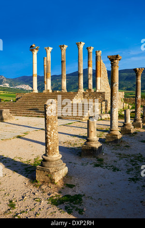 Die korinthischen Säulen des kapitolinischen Tempels, Ausgrabungsstätte Volubilis, in der Nähe von Meknès, Marokko Stockfoto