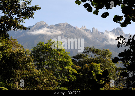 Regenwald in der Kinabalu National Park, Sabah, Borneo, Malaysia. Blick auf die Berge von Parkverwaltung. Stockfoto