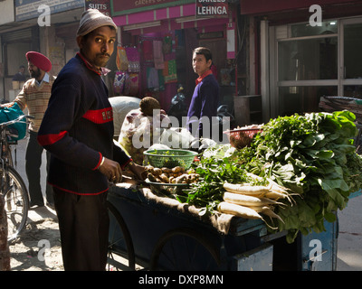 Indien, Punjab, Amritsar, Jalebiwala Chowk, pflanzliche Verkäufer Stall im Sonnenschein Stockfoto