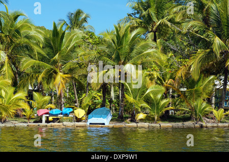 Tropische Küste mit Kokosnuss-Palmen und bunten Kajaks wartet auf Touristen, Carenero Karibikinsel, Bocas del Toro, Panama Stockfoto