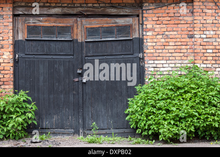 Alte verlassene hölzerne Garagentore überwuchert mit Pflanzen Stockfoto